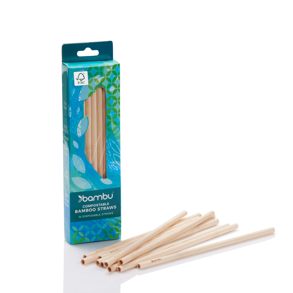 057660DisposableStraws